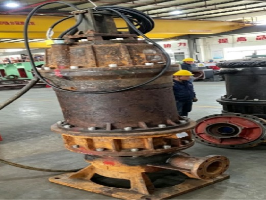 某核电四台 55kW 水泵成套大修